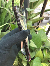 Load image into Gallery viewer, Black metallic chrome with lense transparent case for Apple Iphone 11
