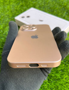 Golden Hard Pc premium case for Apple Iphone 13 Pro